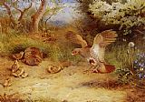 Summer Partridge and Chicks by Archibald Thorburn